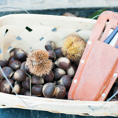 Chestnuts