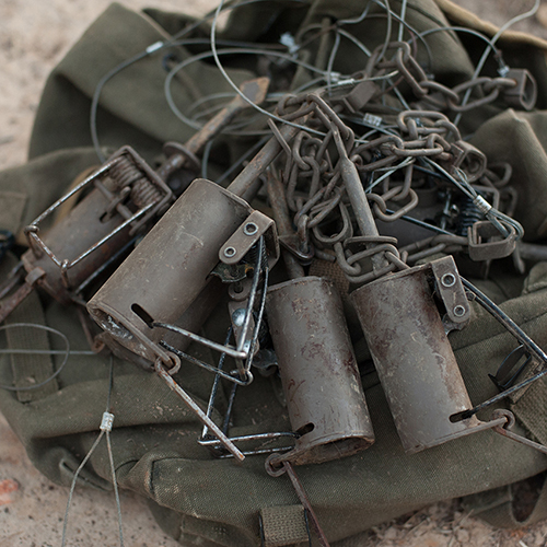 Traps and trapping Supplies